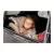 Recaro Xenon 1 i-Size gyerekülés 40 -125 cm - Elegant Beige