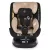 Moni Serengeti i-Size Isofix gyermekülés (40-150 cm) - Bézs