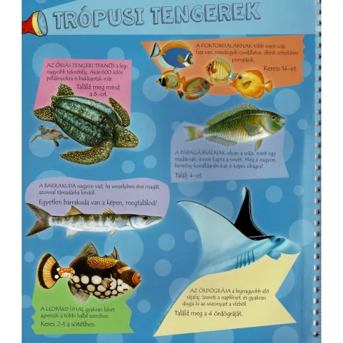 Zseblámpával - A tenger alatt 