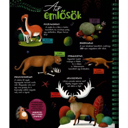 Csodalámpa - Ősállatok 