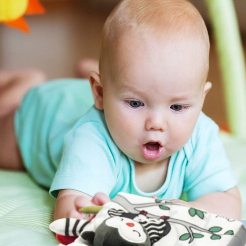 Akuku érzékfejlesztő babakönyv - Animal kingdom