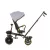 Chipolino Max Sport tricikli kupolával - Ash Grey -klón