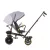 Chipolino Max Sport tricikli kupolával - Ash Grey -klón