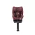 Recaro Salia 125 i-Size gyerekülés 40 -125 cm - Iron Red
