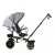 Chipolino Max Sport tricikli kupolával - Anthracite 