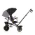 Chipolino Max Sport tricikli kupolával - Blackberry 