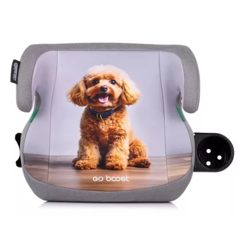 Chipolino GO BOOST autós ülésmagasító 125-150 cm - poodle 