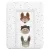 Ceba Baby puha pelenkázó lap 50*70 cm - Basic Cute Animals