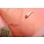 Incababy Babahinta Rose FW
